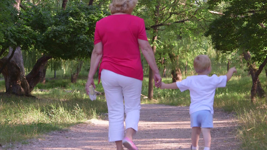 祖母和她的孙子在公园行走视频