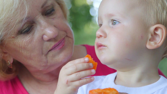 祖母和她的孙子在户外吃杏视频