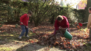 秋天收拾树叶的一家人11秒视频