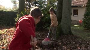 两个小男孩在落叶林里玩树叶23秒视频