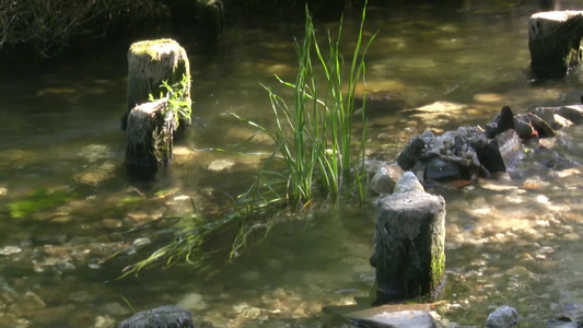 小溪缓缓地流淌过古老的木桥[缓步]视频