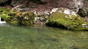 荒野瀑布河流岩石苔藓景观17秒视频