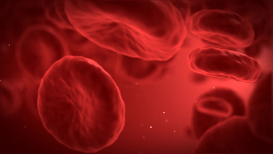 血细胞运动视频