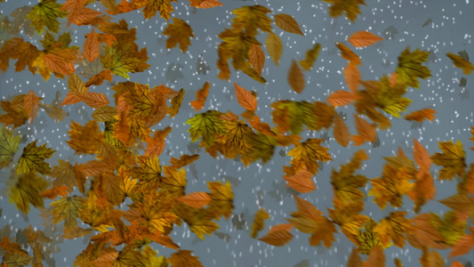 树叶和雪花背景[飘飘洒洒]视频