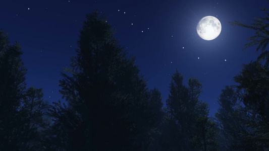 午夜原始森林仰望夜幕星空月亮视频