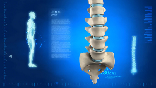人类脊柱与椎盘的细节视频