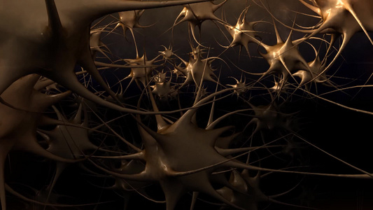 有连接的人类神经元[智人]视频