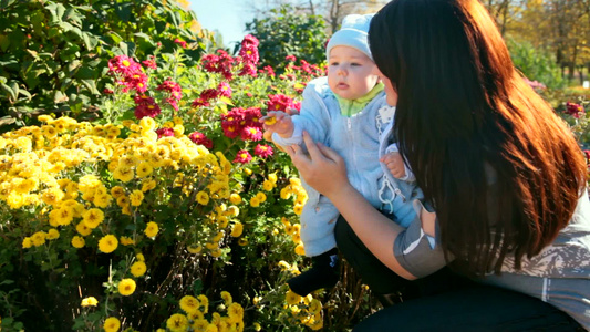 母亲和孩子在花坛赏花视频