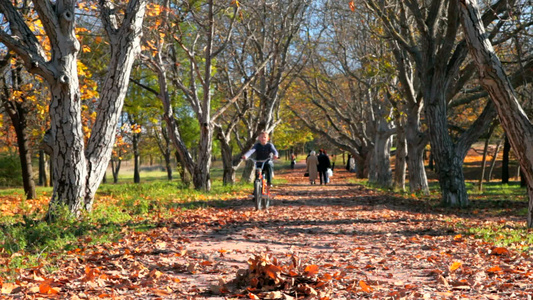 小男孩在落叶树林里骑自行车视频