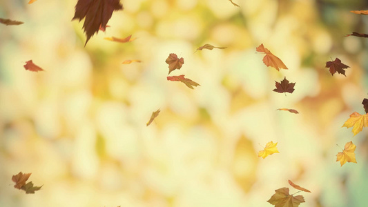 秋天落下的树叶三维背景[3D立体]视频
