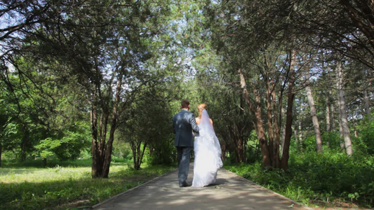 公园里散步的新婚夫妇视频