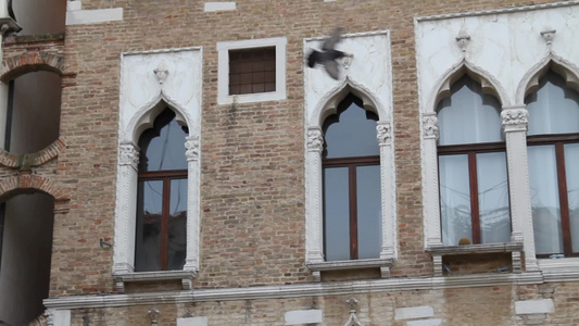 威尼斯建筑和飞鸟视频