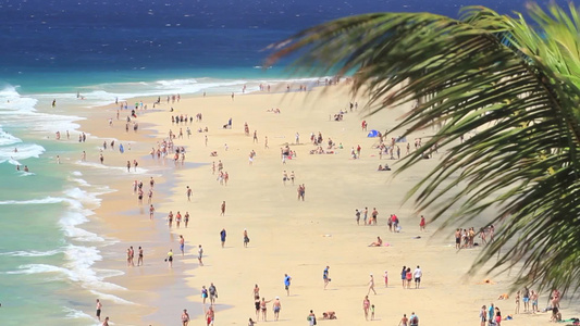 在美丽的加勒比海滩上度假的游客视频