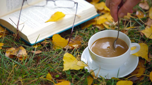 秋天落叶草地上阅读书籍搅拌咖啡22秒视频