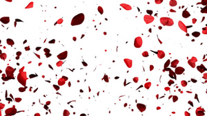 心形玫瑰花瓣爆炸28秒视频