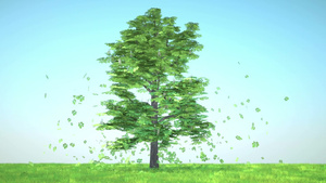 3D落下的树木8秒视频