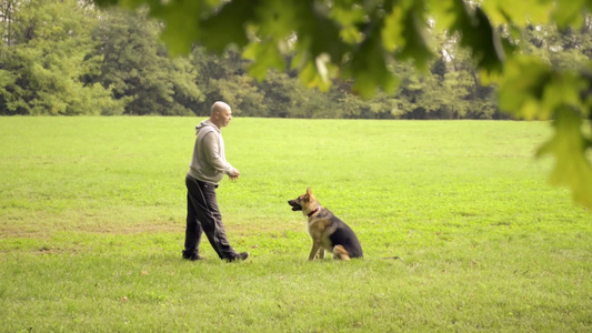 一个男人在训练他的狗[训练项目]视频