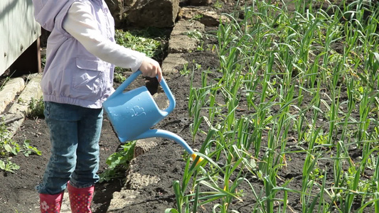 小女孩在农场给蒜苗浇水视频