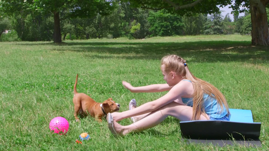 草地上小女孩和小狗在玩耍视频