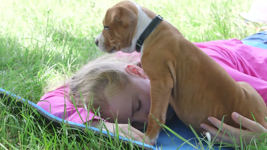 夏天小女孩和困倦的小狗躺在草地上视频