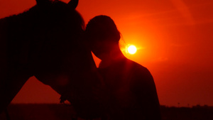 日落下骑马少女的剪影14秒视频