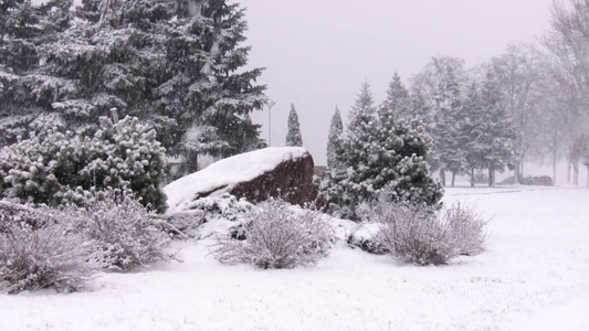 在公园下雪[街心公园]视频