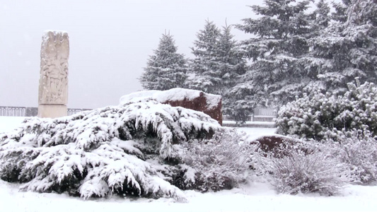 冬季下雪的公园视频