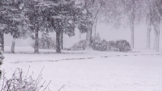 皑皑白雪的公园视频