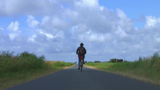 一个年轻女性在郊外的小路上骑着自行车视频