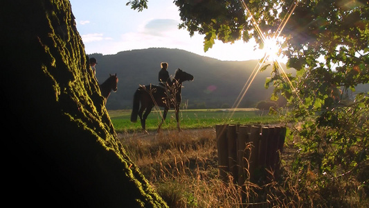 牛仔骑着马走在乡间的小路上视频