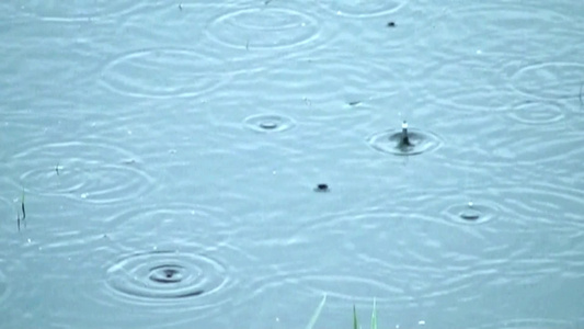 湖面上的雨滴视频