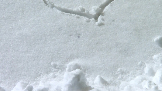 雪地上的爱心[善举]视频