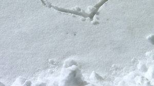 雪地上的爱心6秒视频