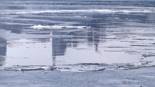 河面上融化的冰块视频