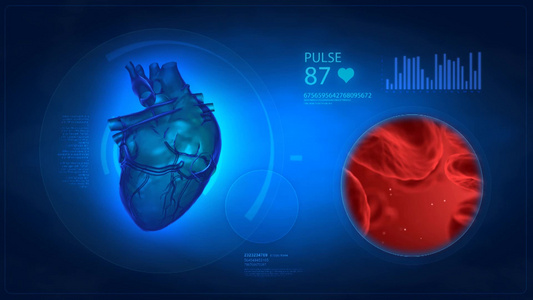 3D心脏跳动视频