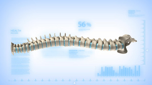 旋转脊柱20秒视频