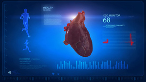 人类心脏心电测试图14秒视频
