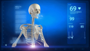 人体骨架数据测试15秒视频