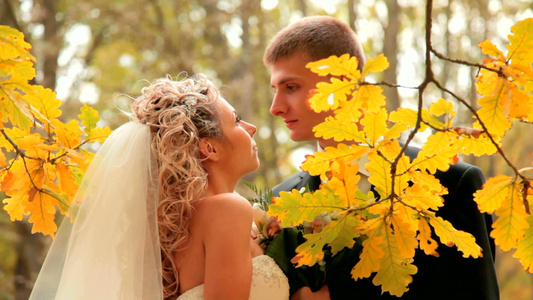 新娘和新郎在秋天的公园接吻拍婚纱照视频