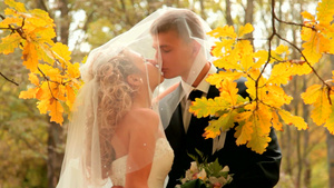新娘和新郎在秋天的公园接吻14秒视频