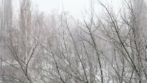 城市里的降雪32秒视频