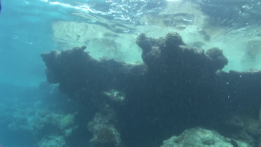 海底珊瑚暗礁游鱼视频
