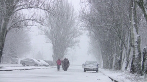 暴风雪的城市街道11秒视频