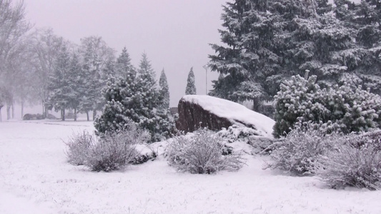 户外下着暴雪[雪量]视频