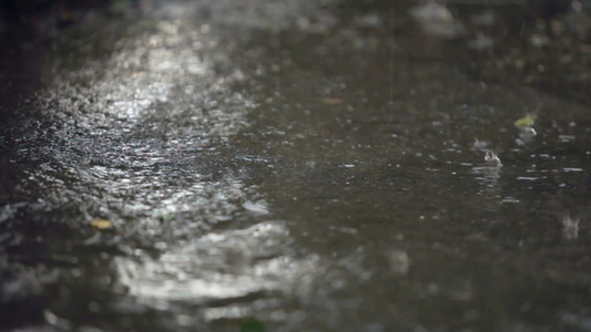 城市街道上的暴风雨天气[湿冷]视频