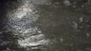 城市街道上的暴风雨天气20秒视频