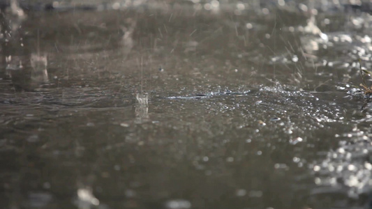 街道上的雨水[淅沥沥]视频