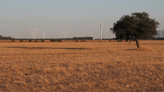 草地上的风力发电机视频