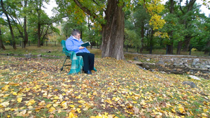 秋天坐在树下看书的妇女15秒视频