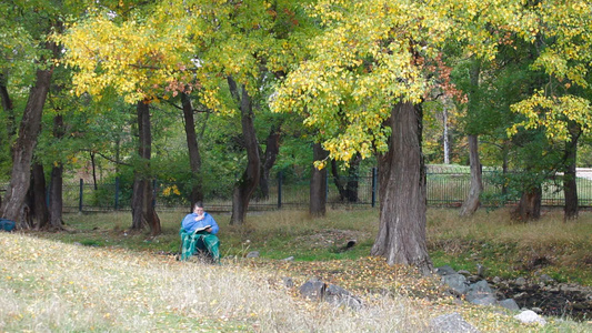 年长的女人坐在户外的椅子上在秋树下看书视频